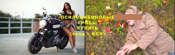 ПСИЛОЦИБИНОВЫЕ ГРИБЫ Арсеньев